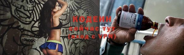 apvp Инта