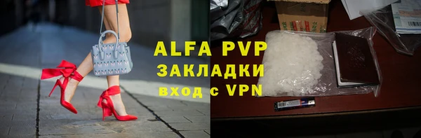 apvp Инта