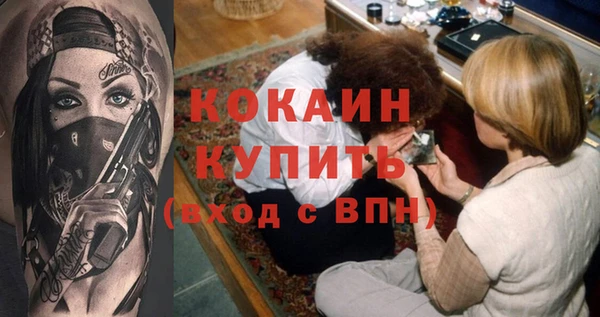apvp Инта