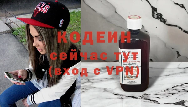 apvp Инта